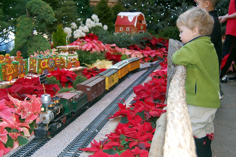 boy, model train and flowers