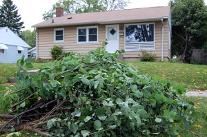 brush pile in front of house