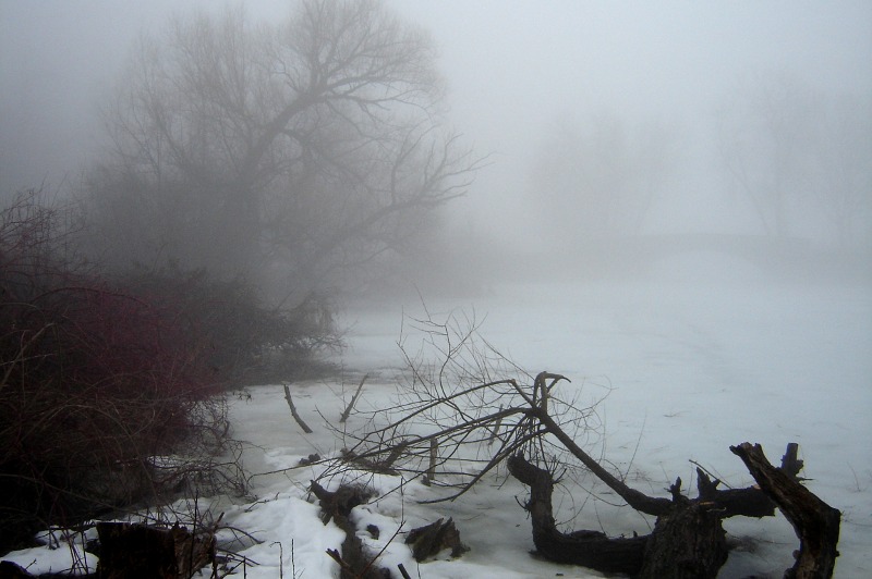 lake edge with bridge in the fog