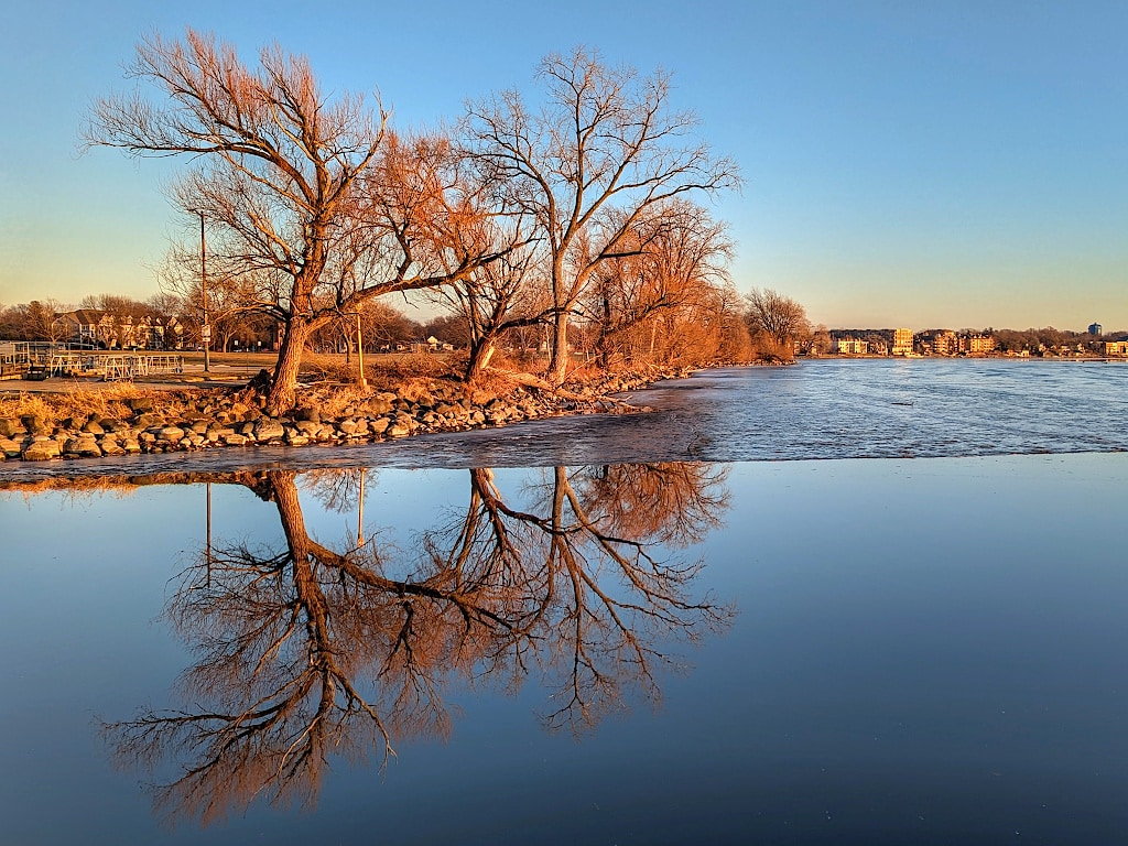A bare group of trees along the shoreline of a lake inlet are reflected in the water along with the blue sky. Beyond the inlet, the lake has a thin layer of ice.