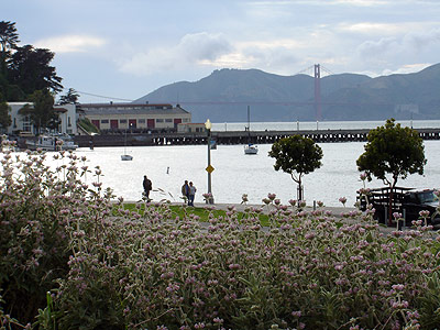 San Francisco Bay