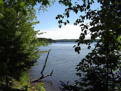 along the Star Lake Nature Trail