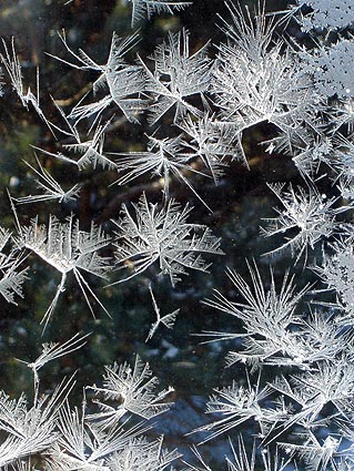 Frost on the Window
