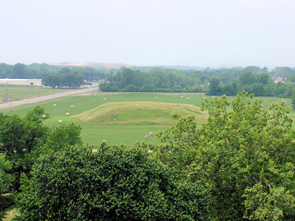 View from the top of Monk's Mound
