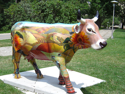 Driftless in WisCOWsin