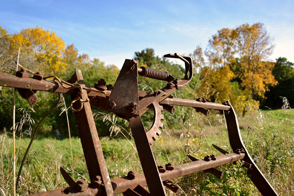 rusty farm rake in front of autumn trees