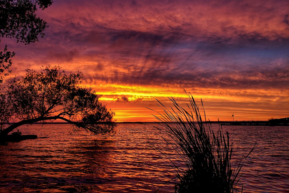 Orange sky with streaks of blue over a lake, with a tree and tall grass in silhouette