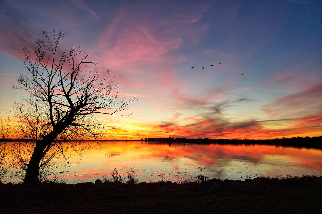 Pink, red, orange, and yellow streaky clouds over a lake at dusk. The colors are reflected in the water. In the foreground is a bare tree and the shoreline are in silhouette.
