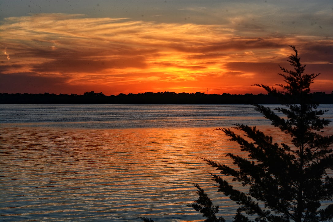 Orange and yellow clouds are reflected in a lake. A pine tree is in silhouette on the side.