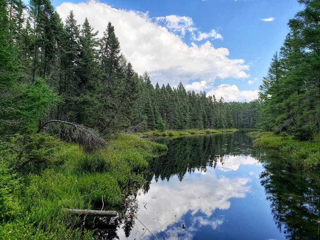 Lagoon surrounded by pine trees and foliage. Clouds and blue sky are reflected in the lagoon's surface.