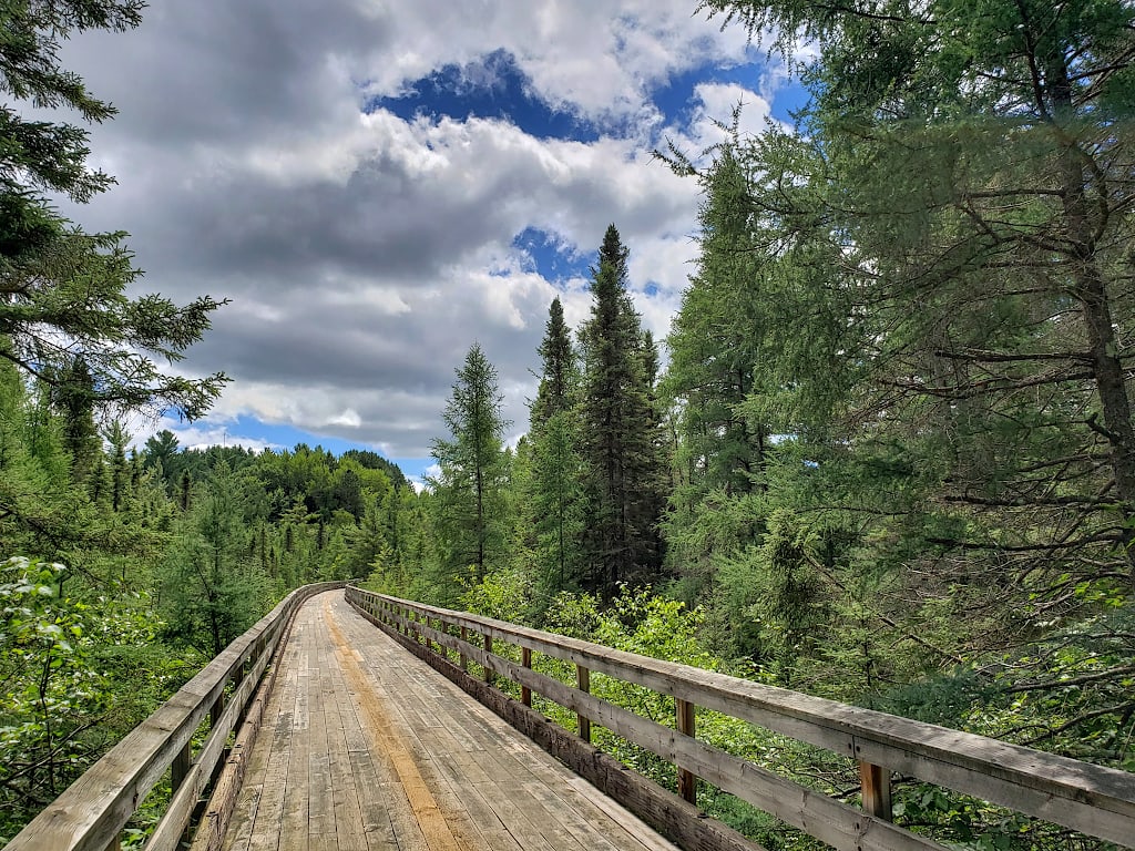 A wooden trestle leads though a scenic area of pine trees.