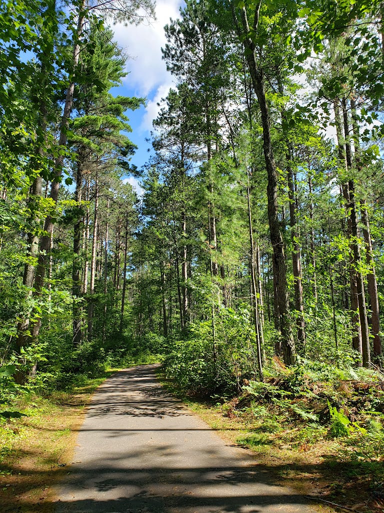A winding paved path leads through a section of tall trees.