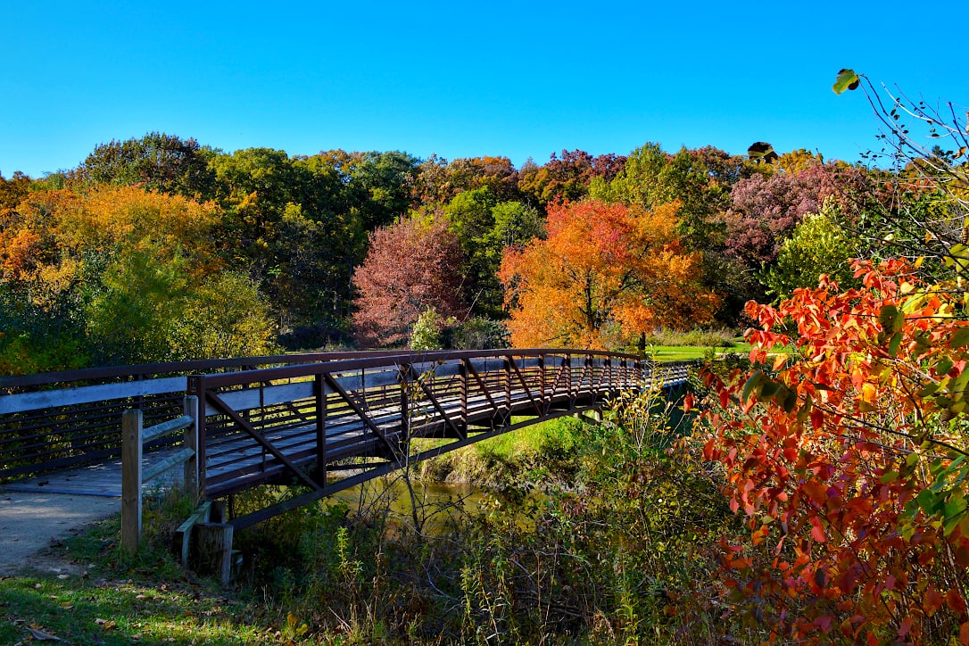 A forest of orange, red, yellow, and green trees, behind a hiking trail bridge.