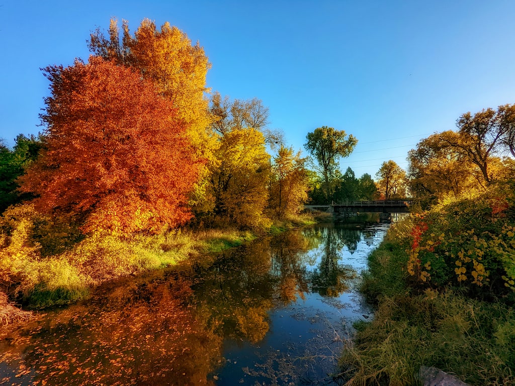 Along the shore of a creek are brilliantly colored red and yellow trees under a deep blue sky.