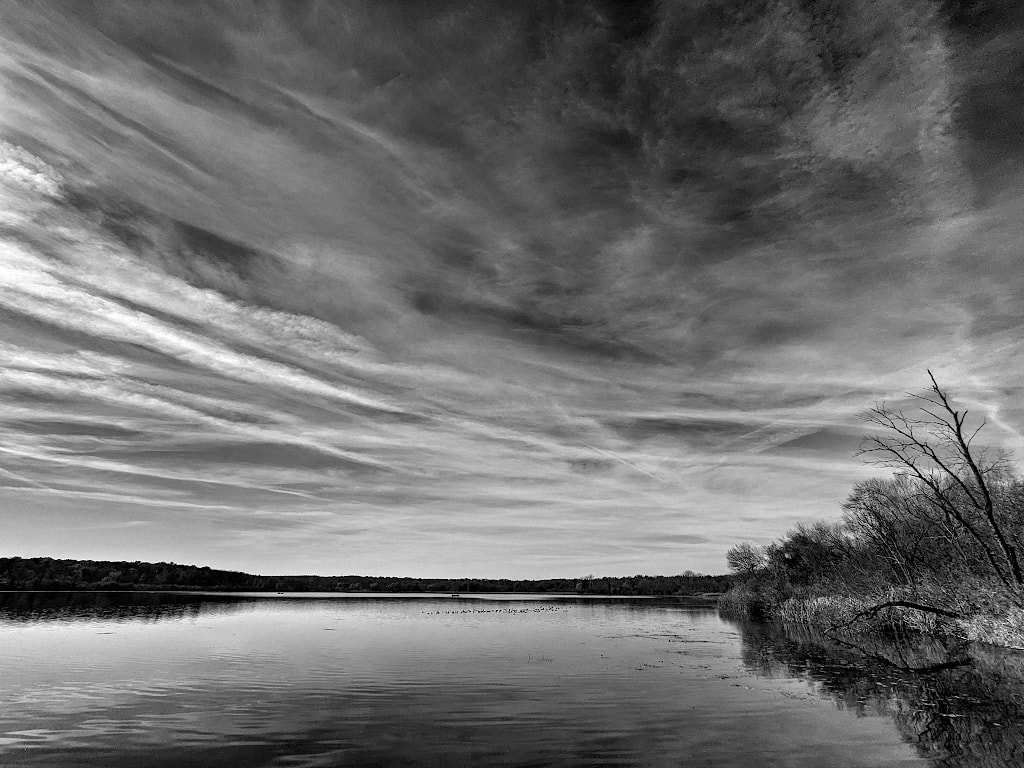 Streaky clouds over a calm lake. On the side are a few bare trees lining the shore.