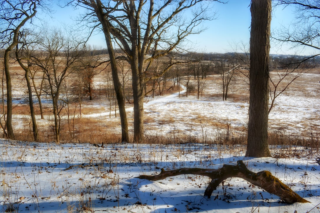 Looking down from the top of a hill through a few trees. Snow covered hiking trails stand out above the prairie grass.