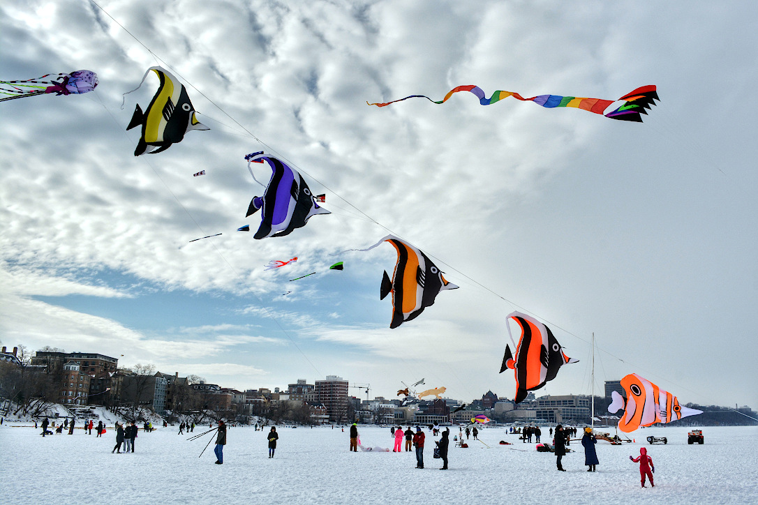 Five fish kites on one line leading up into the sky above a snow covered lake.