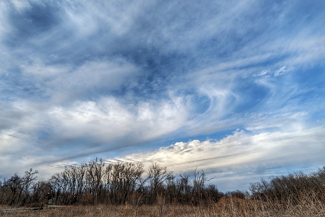 Several types of clouds and blue sky. At the bottom of the photo is a line of bare trees and tall, dried grass.