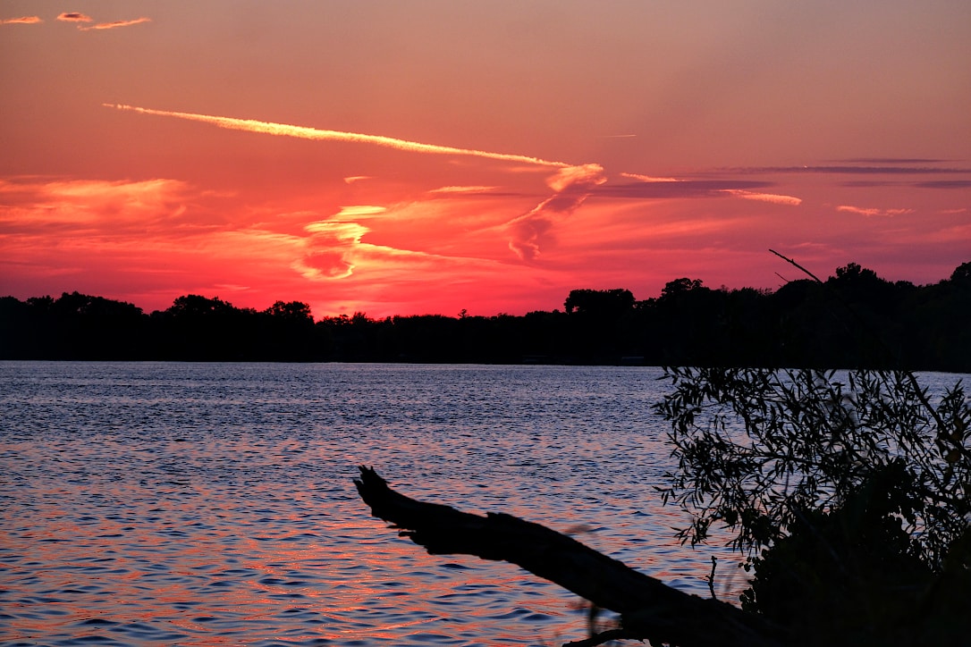 A streaky orange clouds in a sunset sky over a lake. In the foreground, a branch and leaves of a shrub can be seen in silhouette over the water.