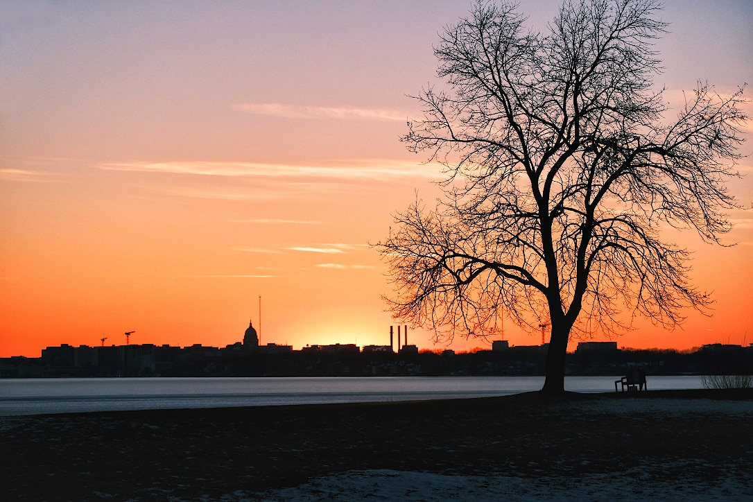 Silhouette of a tree in front of an orangey sunset sky over a frozen lake. The downtown Madison skyline can be seen on the opposite shore.